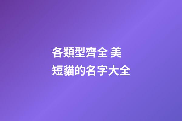 各類型齊全 美短貓的名字大全